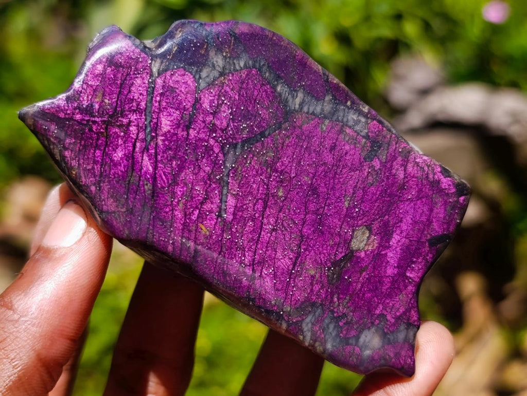 Polished One Side Metallic Purpurite Specimens x 12 From Erongo Namibia