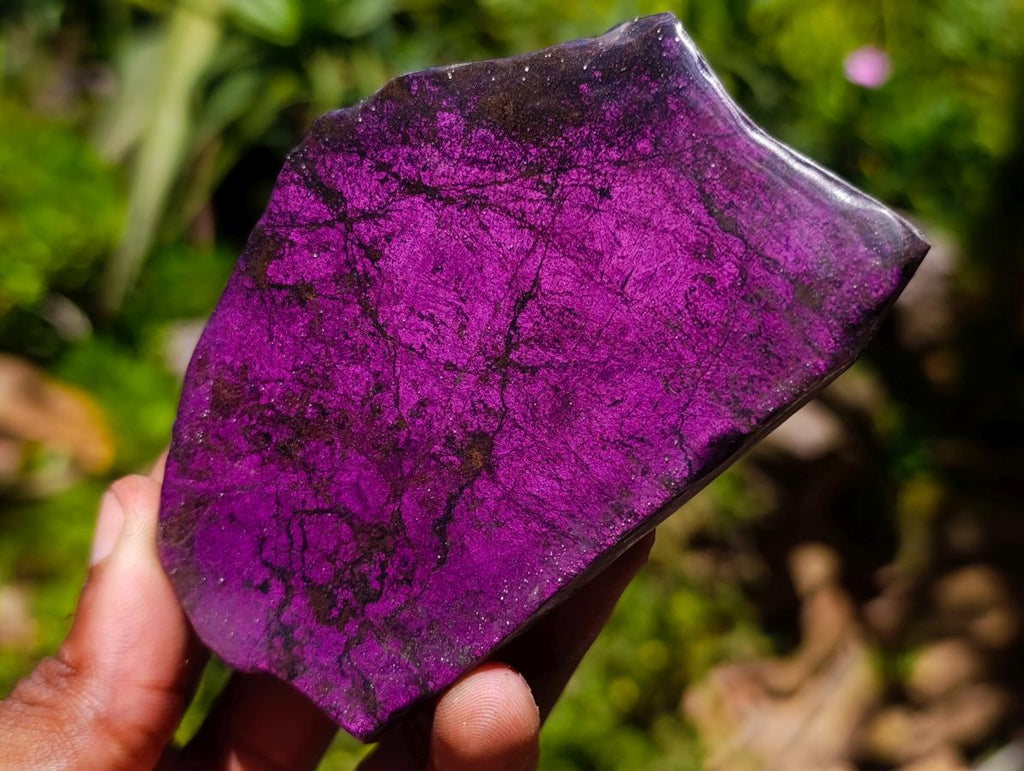 Polished One Side Metallic Purpurite Specimens x 12 From Erongo Namibia