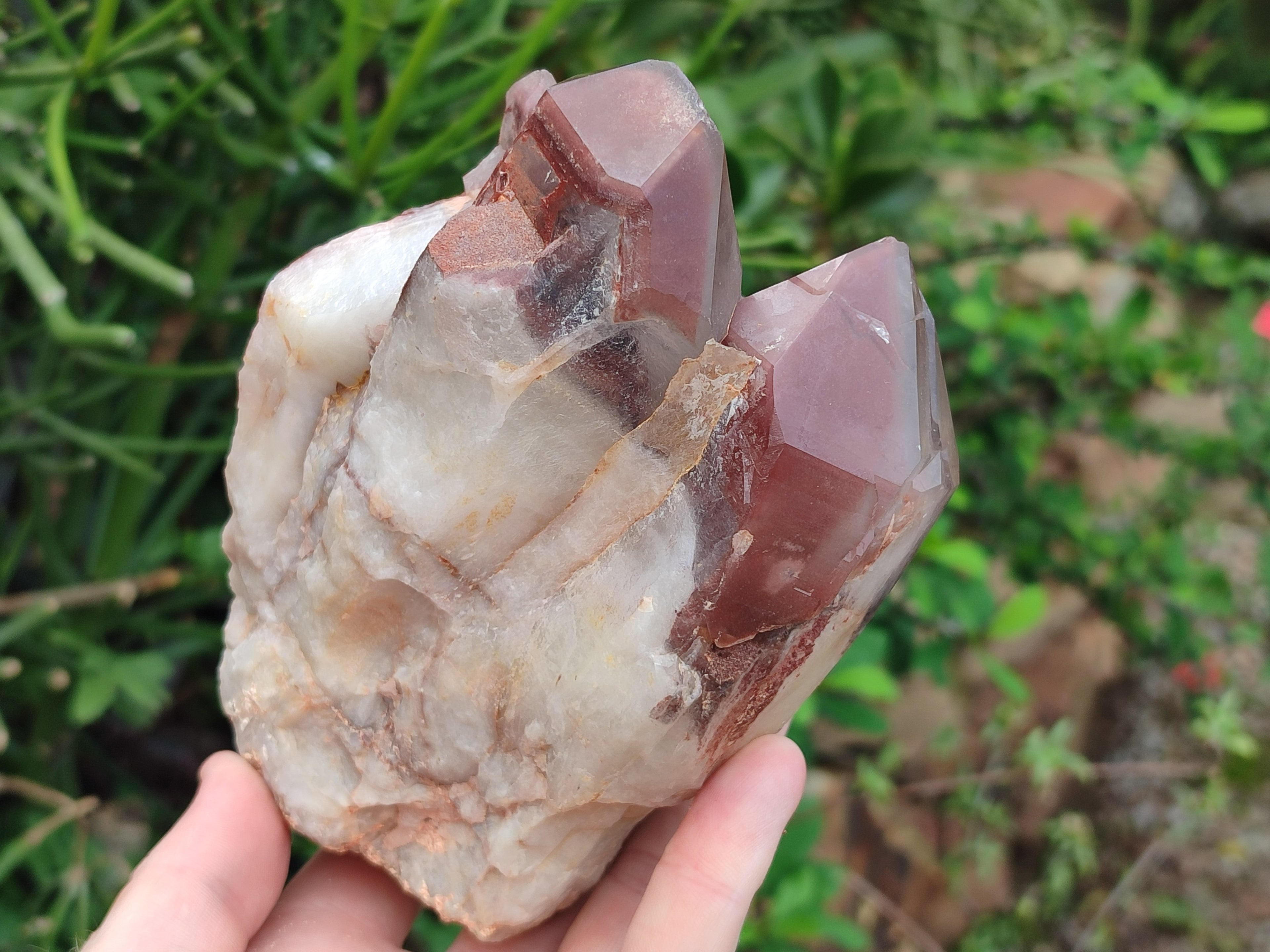 Natural Red Hematoid Quartz Crystal Clusters x 2 From Karoi, Zimbabwe