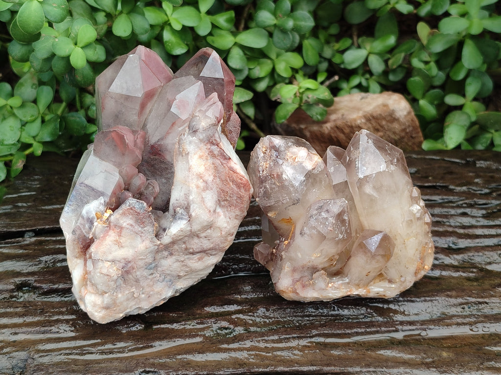 Natural Red Hematoid Quartz Crystal Clusters x 2 From Karoi, Zimbabwe - Toprock Gemstones and Minerals 