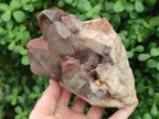 Natural Red Hematoid Quartz Crystal Clusters x 2 From Karoi, Zimbabwe - Toprock Gemstones and Minerals 