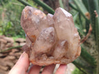 Natural Red Hematoid Quartz Crystal Clusters x 2 From Karoi, Zimbabwe - Toprock Gemstones and Minerals 