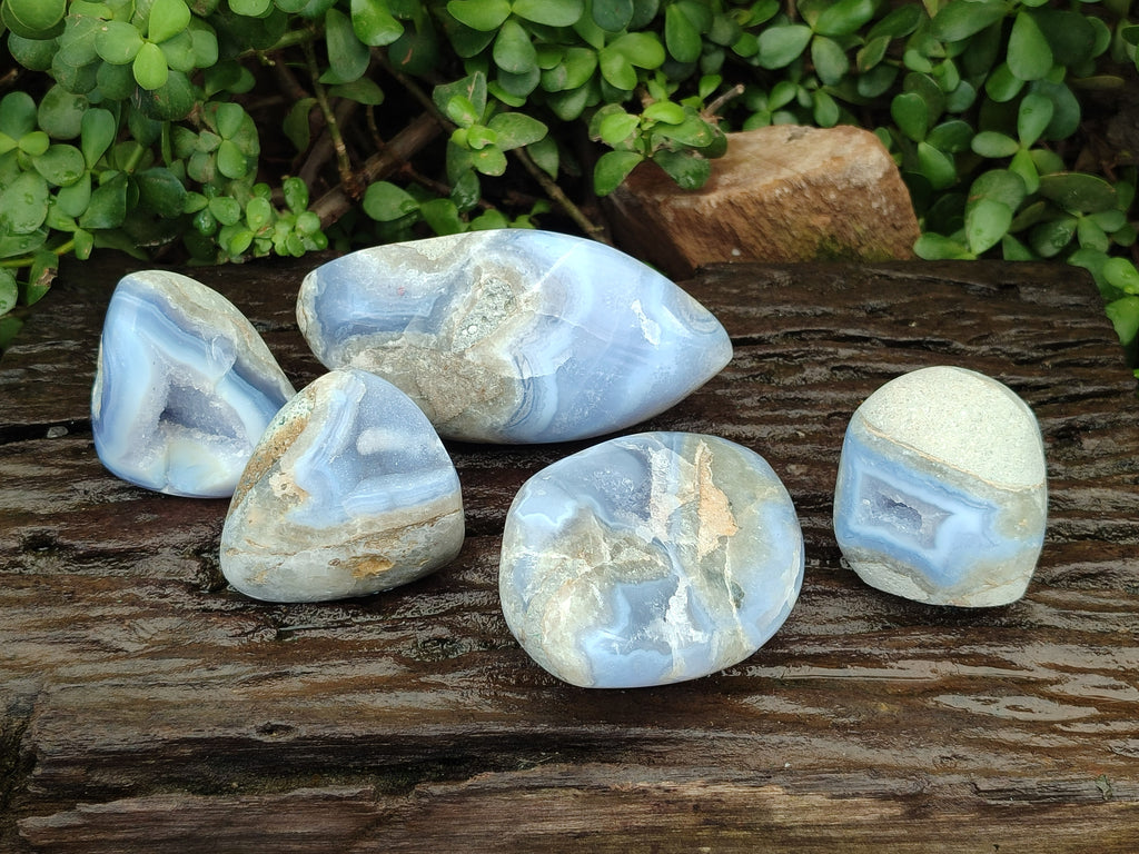 Polished Mixed Blue Lace Agate Free Forms x 5 From Nsanje, Malawi - Toprock Gemstones and Minerals 