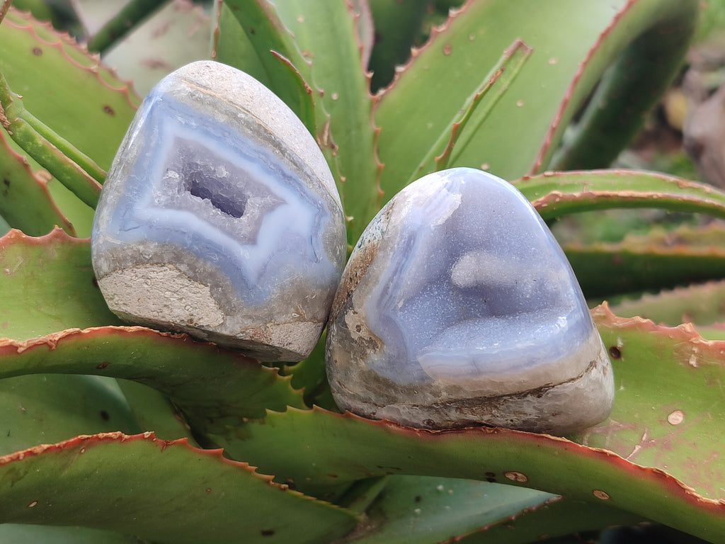 Polished Mixed Blue Lace Agate Free Forms x 5 From Nsanje, Malawi - Toprock Gemstones and Minerals 