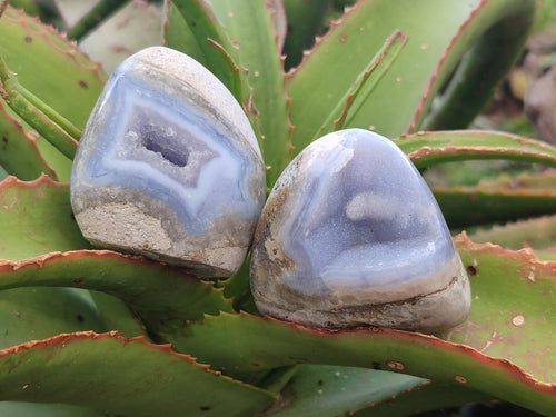 Polished Mixed Blue Lace Agate Free Forms x 5 From Nsanje, Malawi