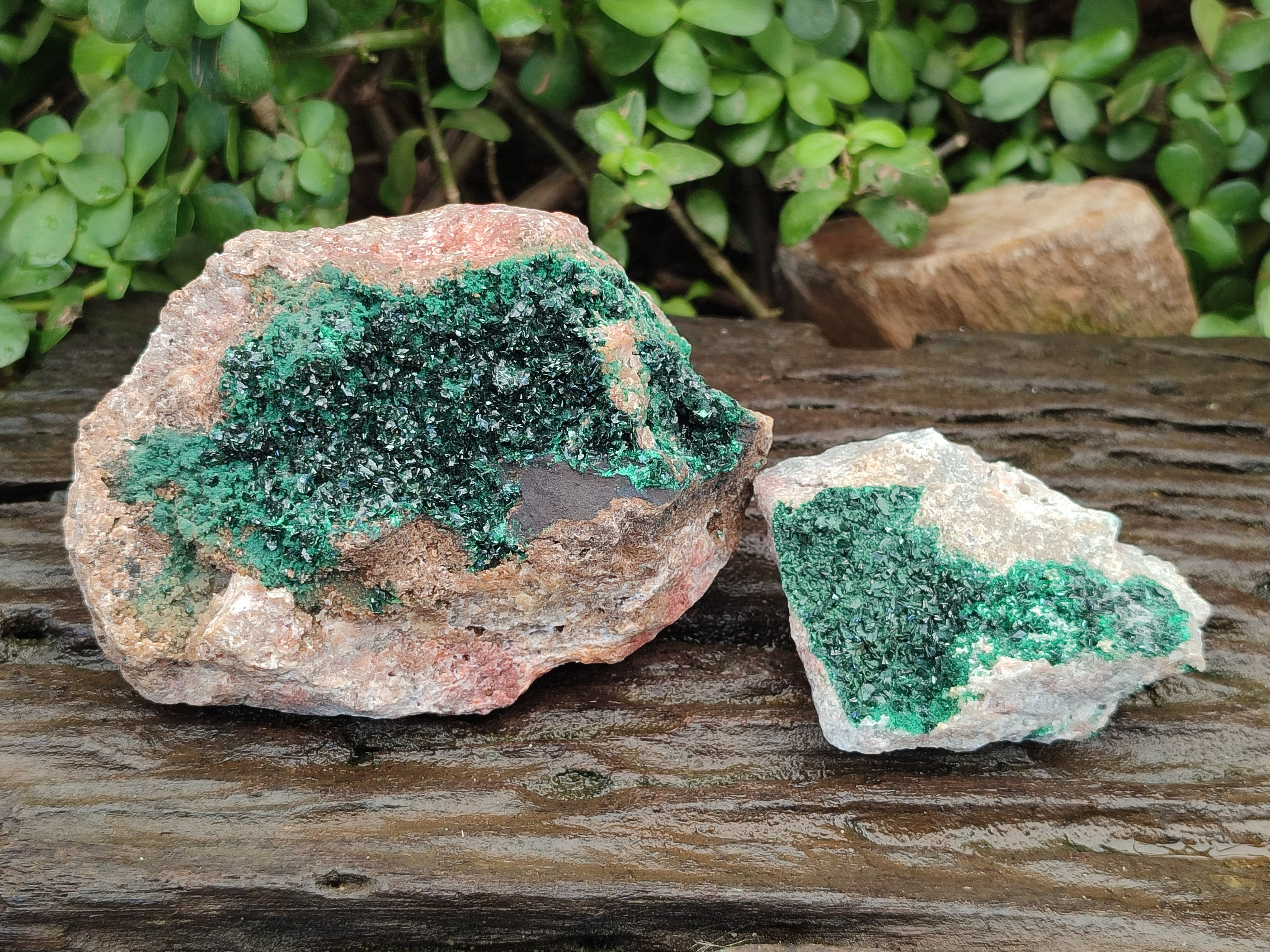 Natural Crystalline Malachite Specimens x 2 From Tenke Fungurume, Congo - Toprock Gemstones and Minerals 