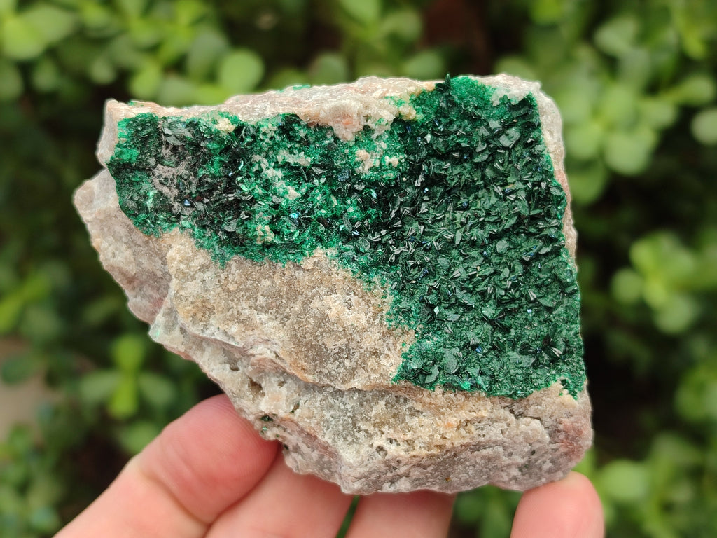 Natural Crystalline Malachite Specimens x 2 From Tenke Fungurume, Congo - Toprock Gemstones and Minerals 