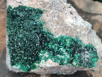 Natural Crystalline Malachite Specimens x 2 From Tenke Fungurume, Congo - Toprock Gemstones and Minerals 