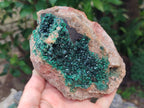 Natural Crystalline Malachite Specimens x 2 From Tenke Fungurume, Congo - Toprock Gemstones and Minerals 