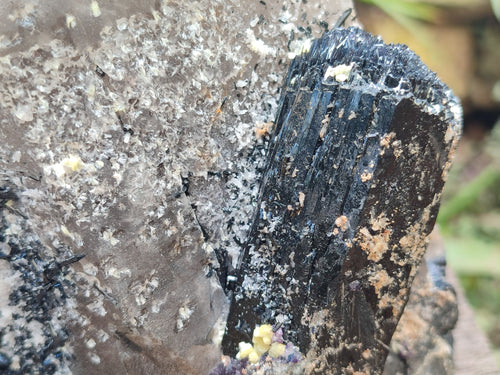 Natural Large Smokey Quartz Crystal with Associated Minerals x 1 From Erongo, Namibia