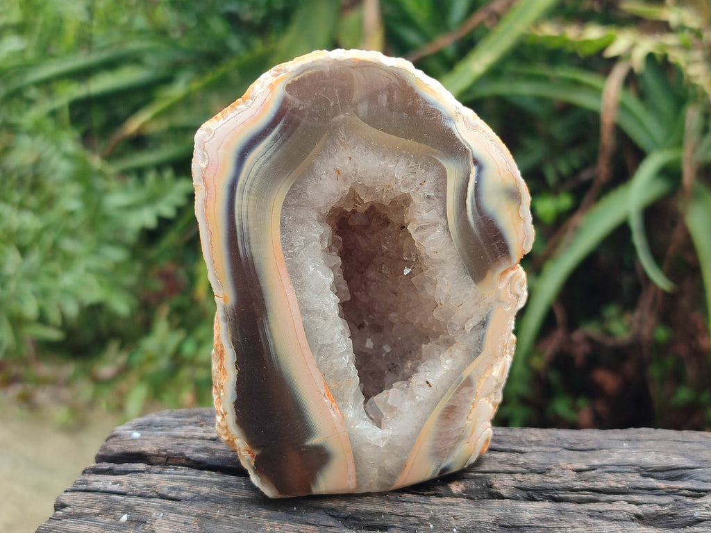 Polished Agate Amethyst Geodes x 6 From Maintirano, Madagascar