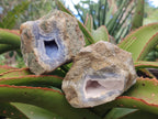 Natural Blue Lace Agate Geode Specimens x 6 From Nsanje, Malawi - Toprock Gemstones and Minerals 