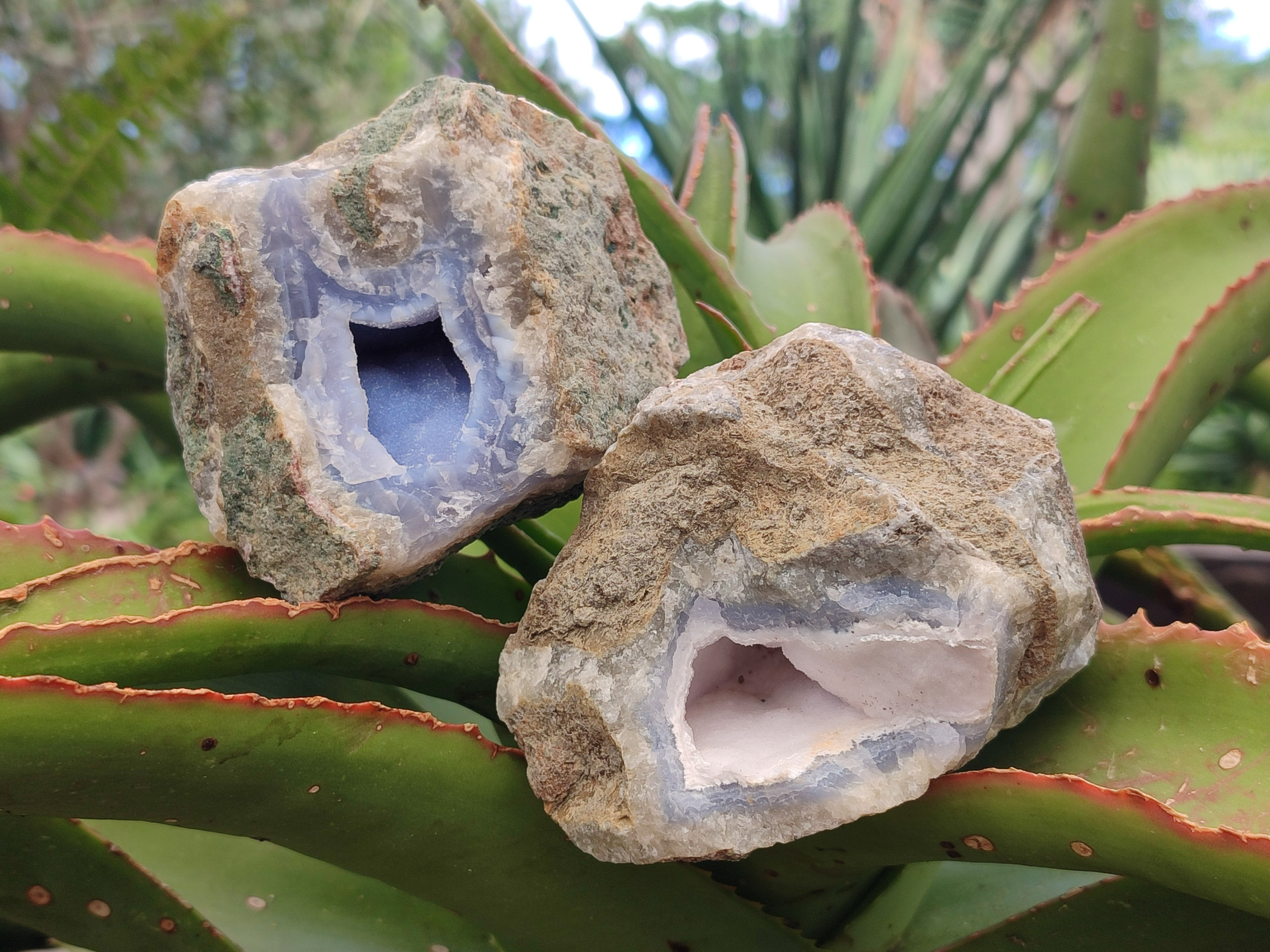 Natural Blue Lace Agate Geode Specimens x 6 From Nsanje, Malawi - Toprock Gemstones and Minerals 