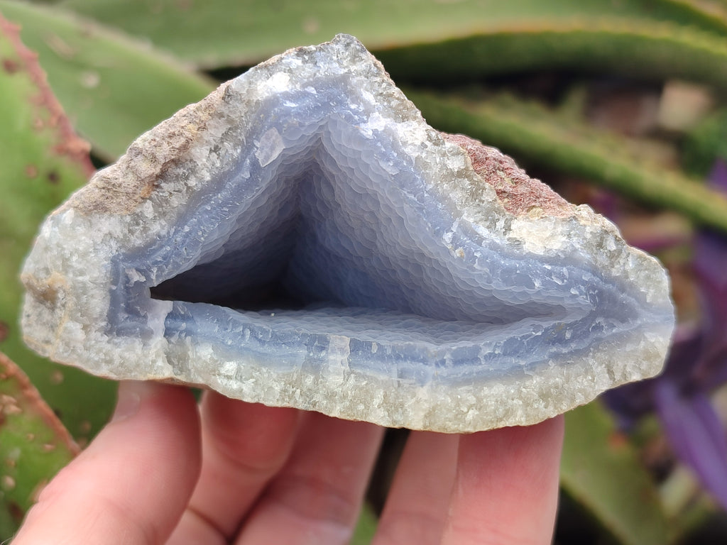 Natural Blue Lace Agate Geode Specimens x 6 From Nsanje, Malawi - Toprock Gemstones and Minerals 