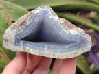Natural Blue Lace Agate Geode Specimens x 6 From Nsanje, Malawi - Toprock Gemstones and Minerals 