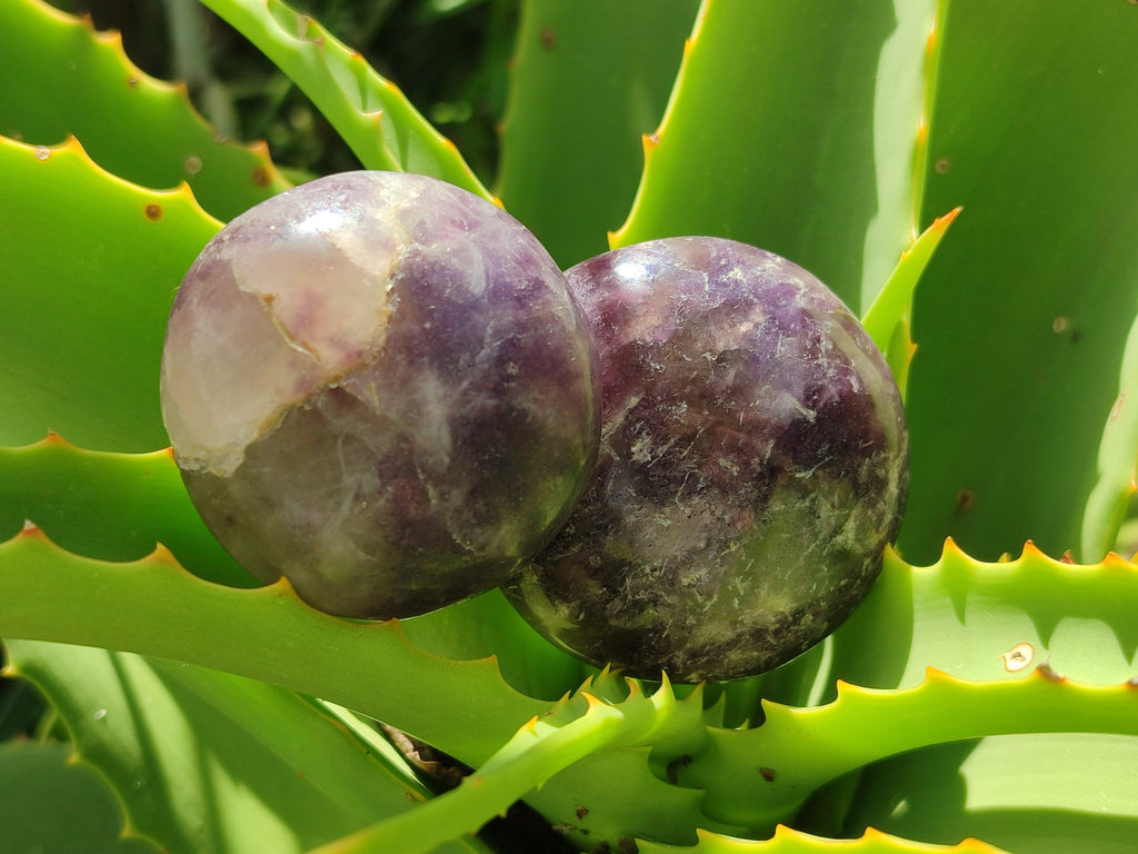 Polished Lepidolite Galets Some with Pink Tourmaline x 24 From Ambatondrazaka, Madagascar - Toprock Gemstones and Minerals 