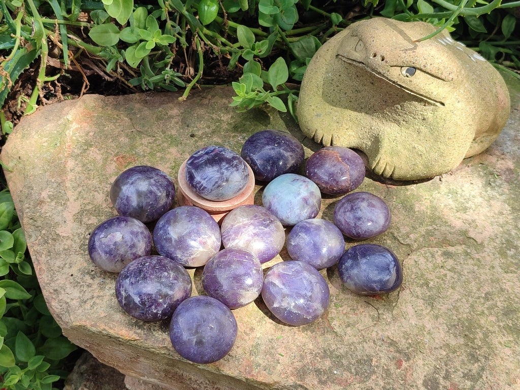 Polished Lepidolite Galets Some with Pink Tourmaline x 24 From Ambatondrazaka, Madagascar - Toprock Gemstones and Minerals 