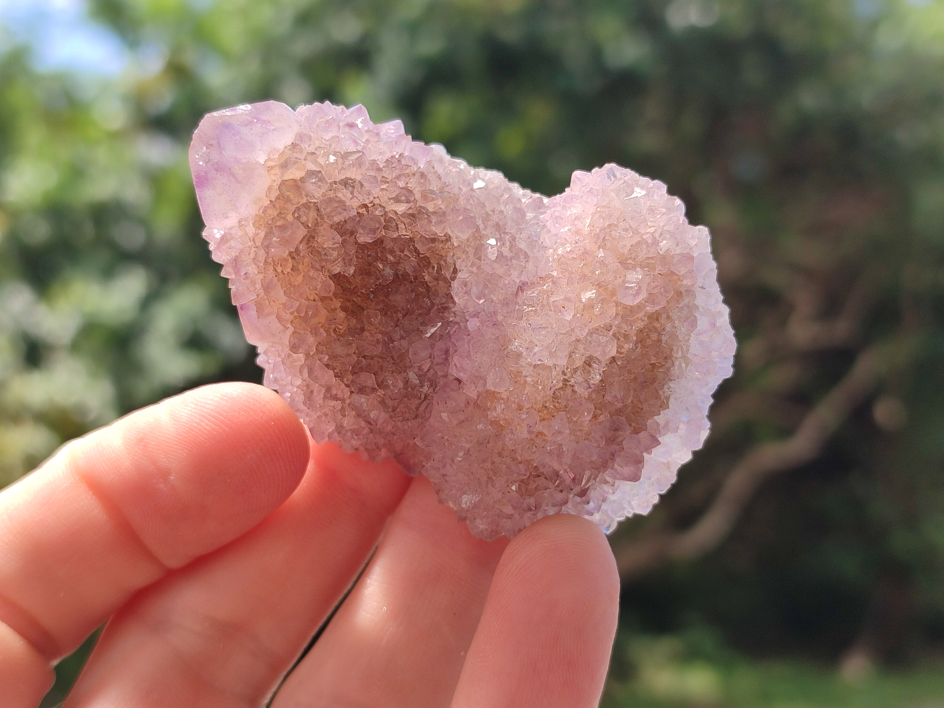 Natural Mixed Amethyst and Ametrine Spirit Clusters x 24 From Boekenhouthoek, South Africa