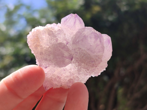 Natural Mixed Amethyst and Ametrine Spirit Clusters x 24 From Boekenhouthoek, South Africa