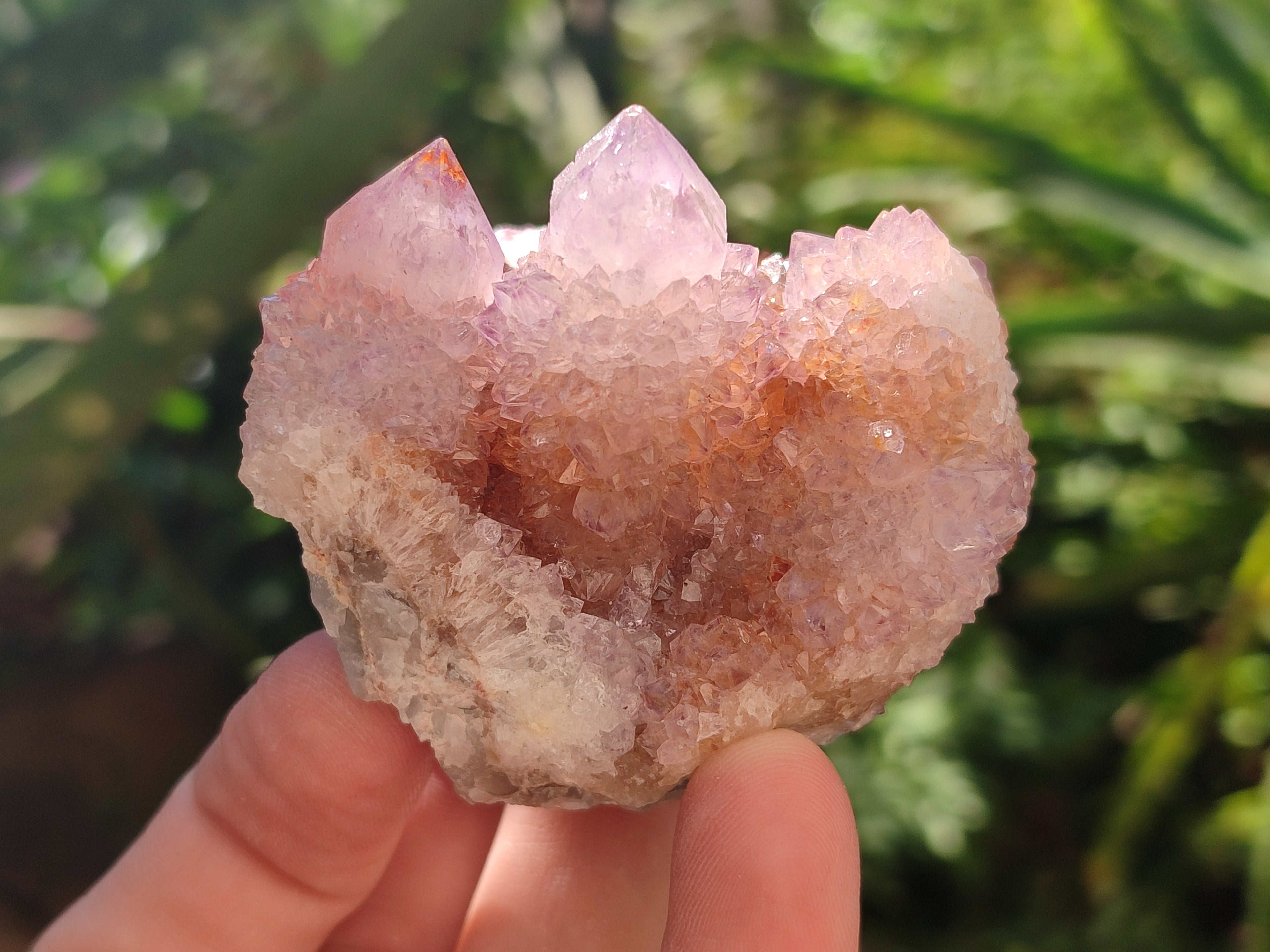 Natural Amethyst and Ametrine Spirit Clusters x 6 From Boekenhouthoek, South Africa