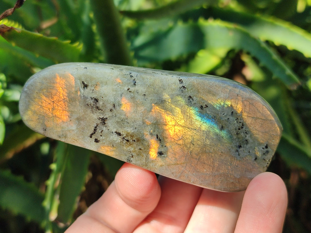 Polished Rare Purple Sunset Flash Labradorite Standing Free Forms x 6 From Madagascar