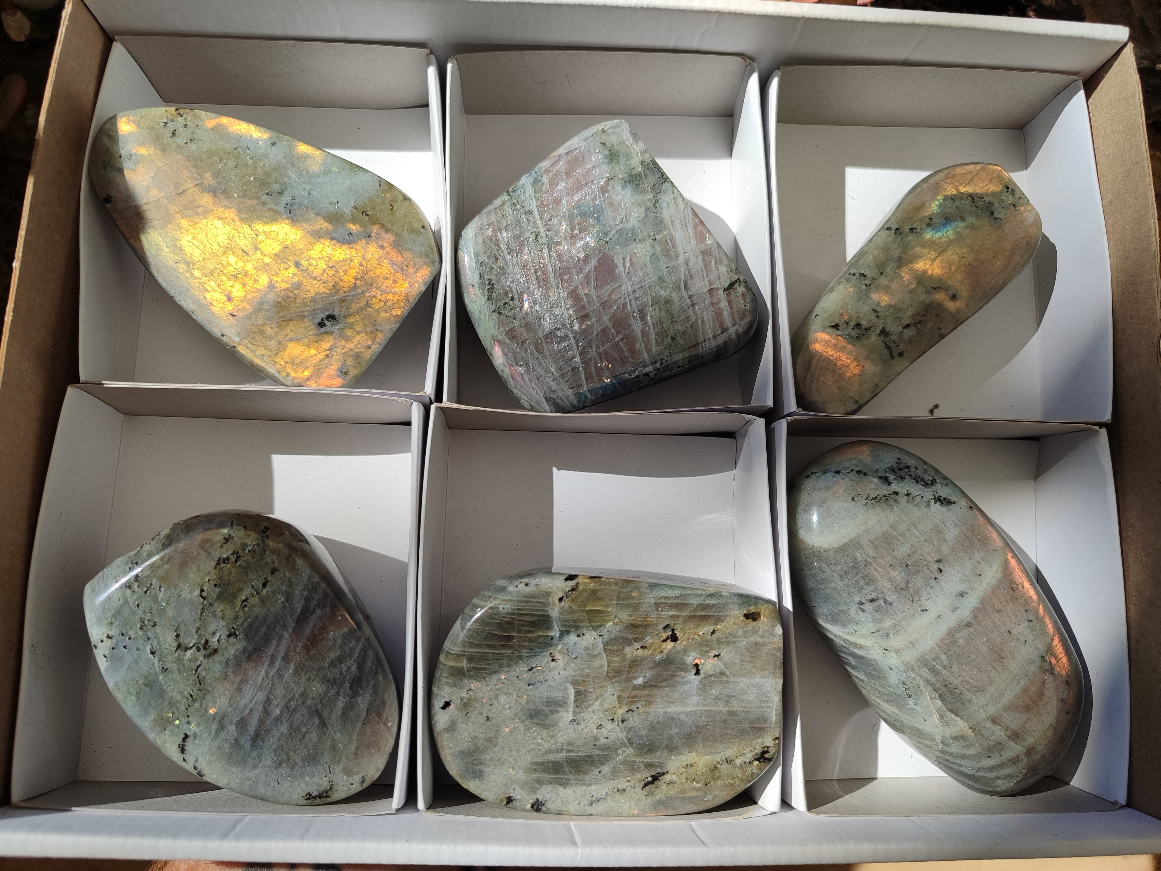 Polished Rare Purple Sunset Flash Labradorite Standing Free Forms x 6 From Madagascar