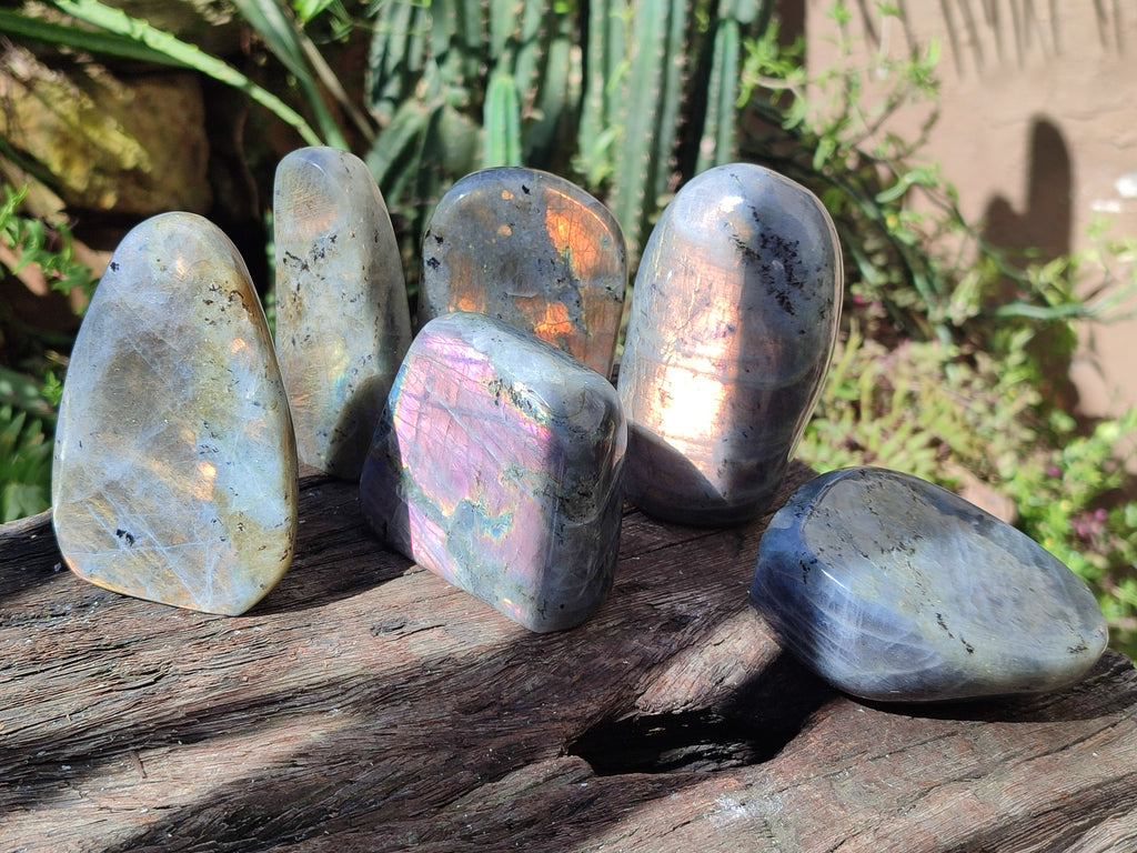 Polished Rare Purple Sunset Flash Labradorite Standing Free Forms x 6 From Madagascar