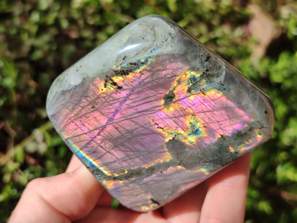 Polished Rare Purple Sunset Flash Labradorite Standing Free Forms x 6 From Madagascar
