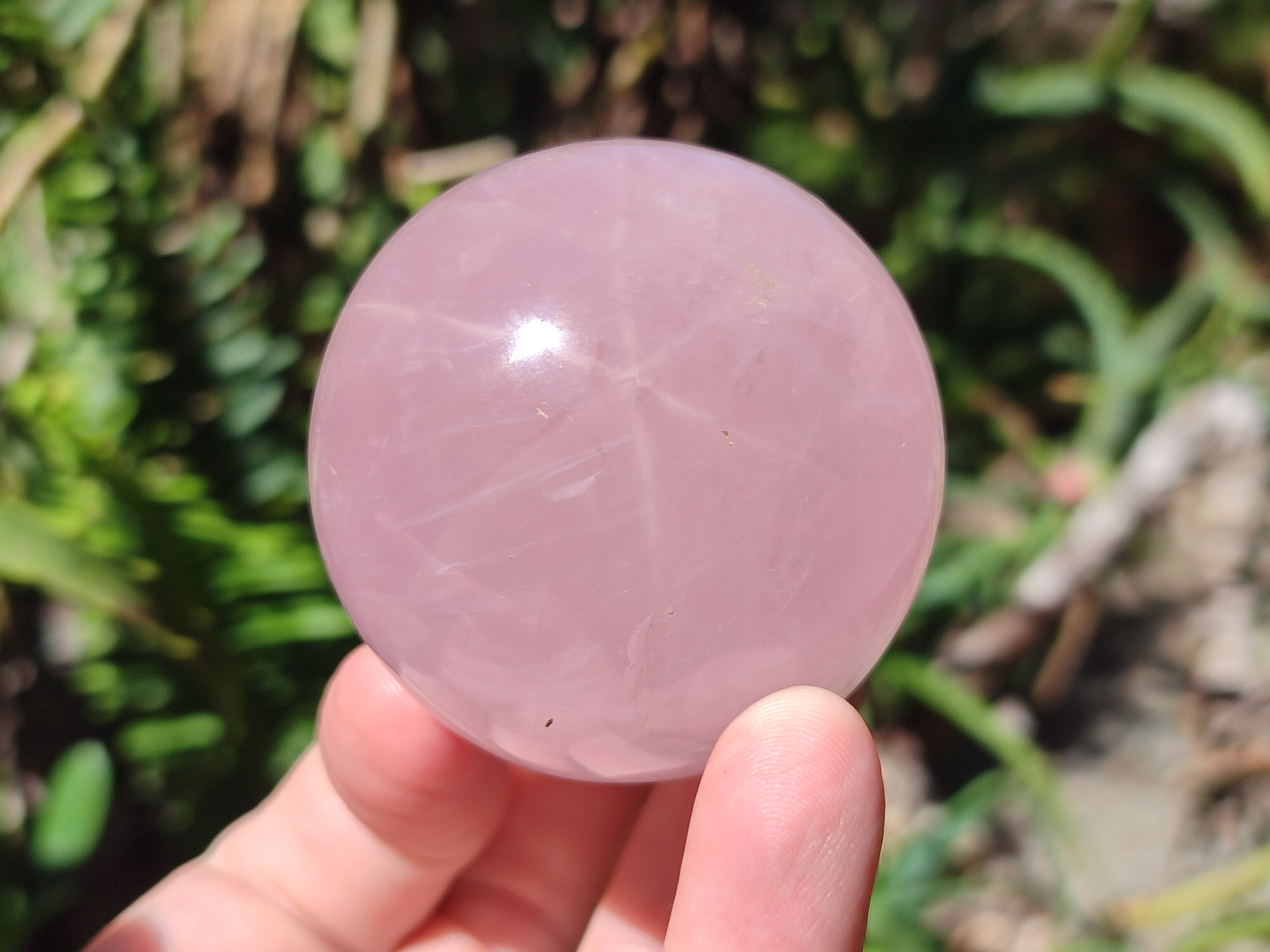Polished Gemmy Star Rose Quartz Spheres x 6 From Madagascar