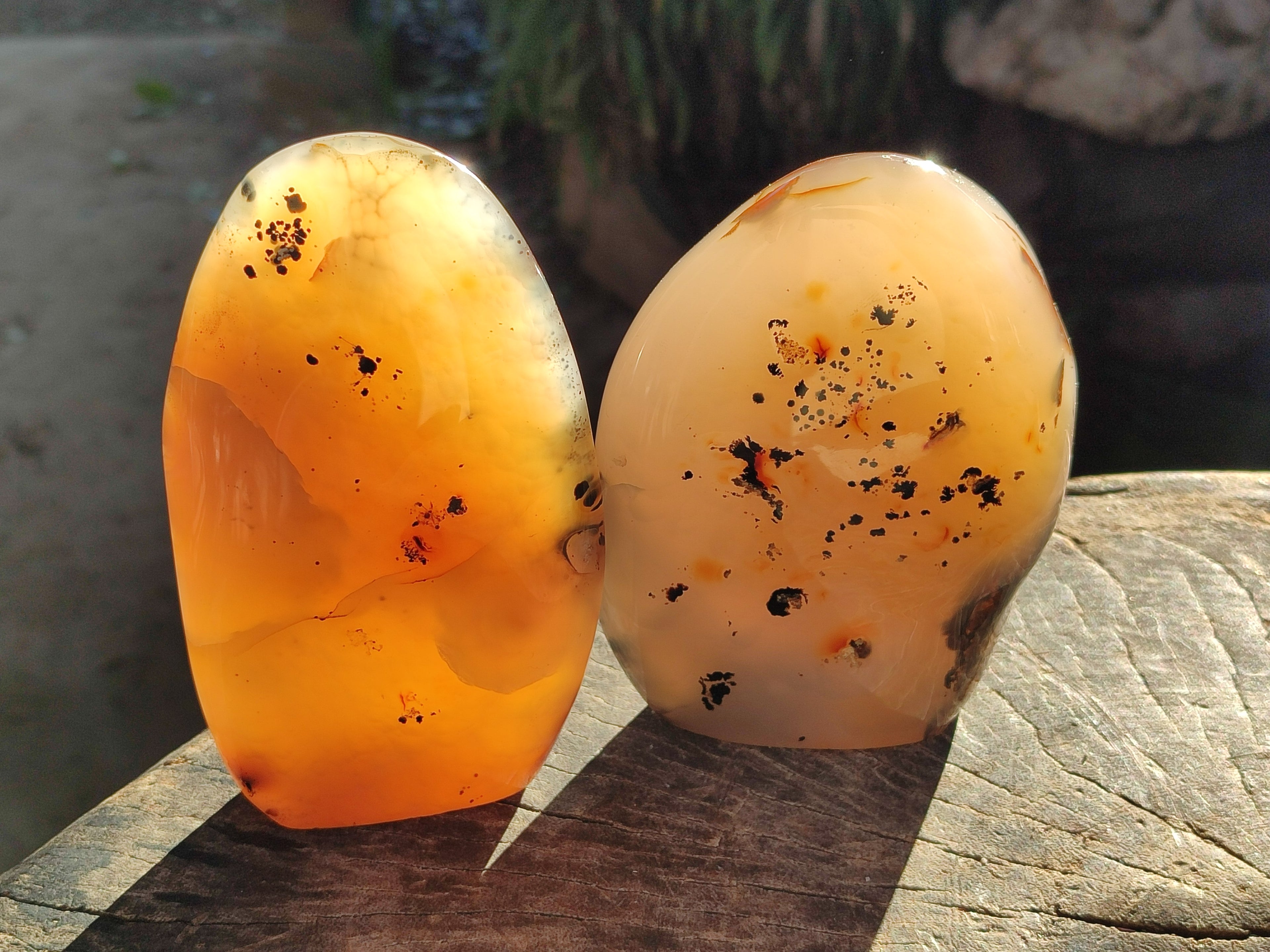 Polished Dendritic Agate Standing Free Forms x 2 From Moralambo, Madagascar