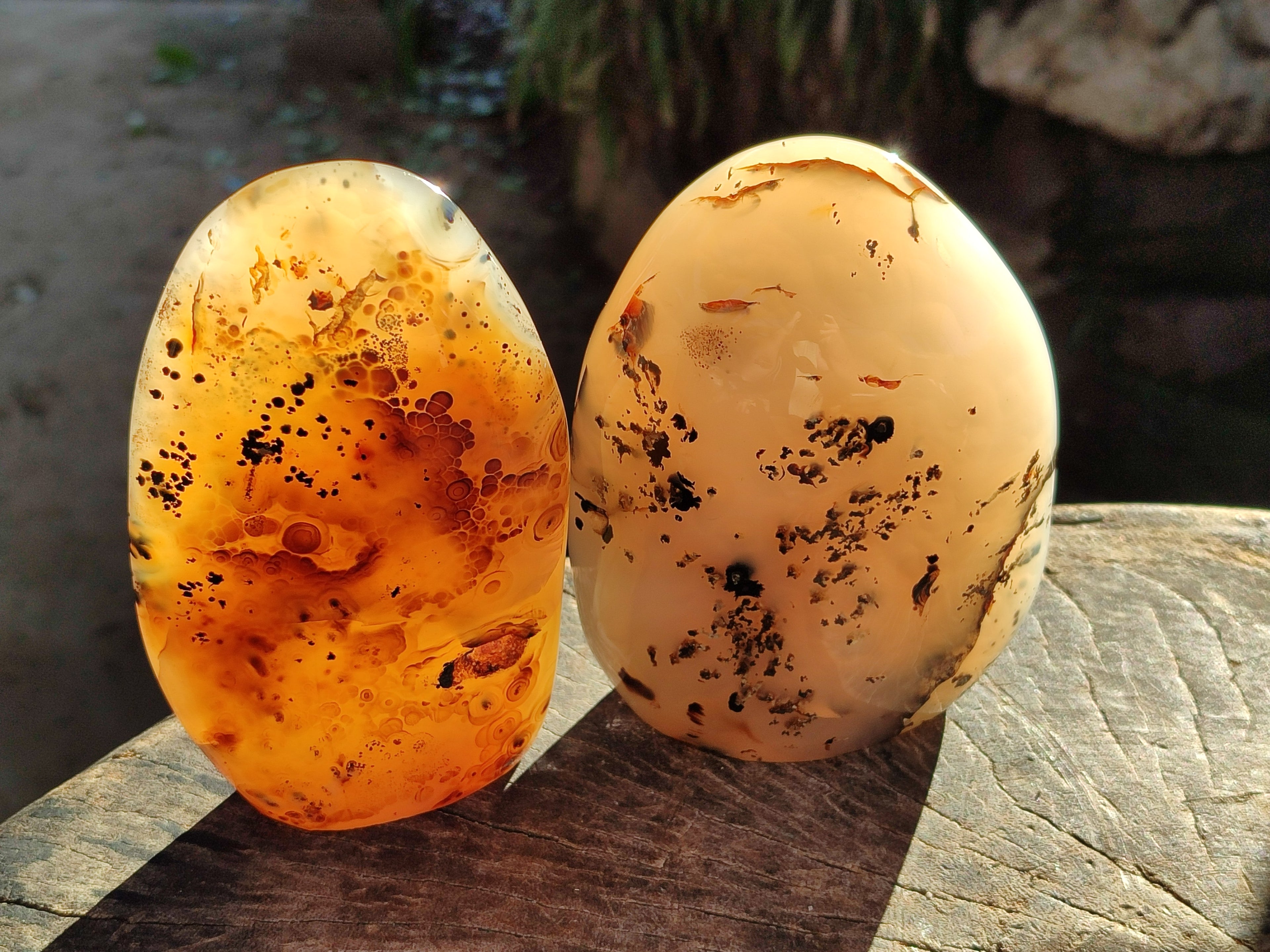 Polished Dendritic Agate Standing Free Forms x 2 From Moralambo, Madagascar