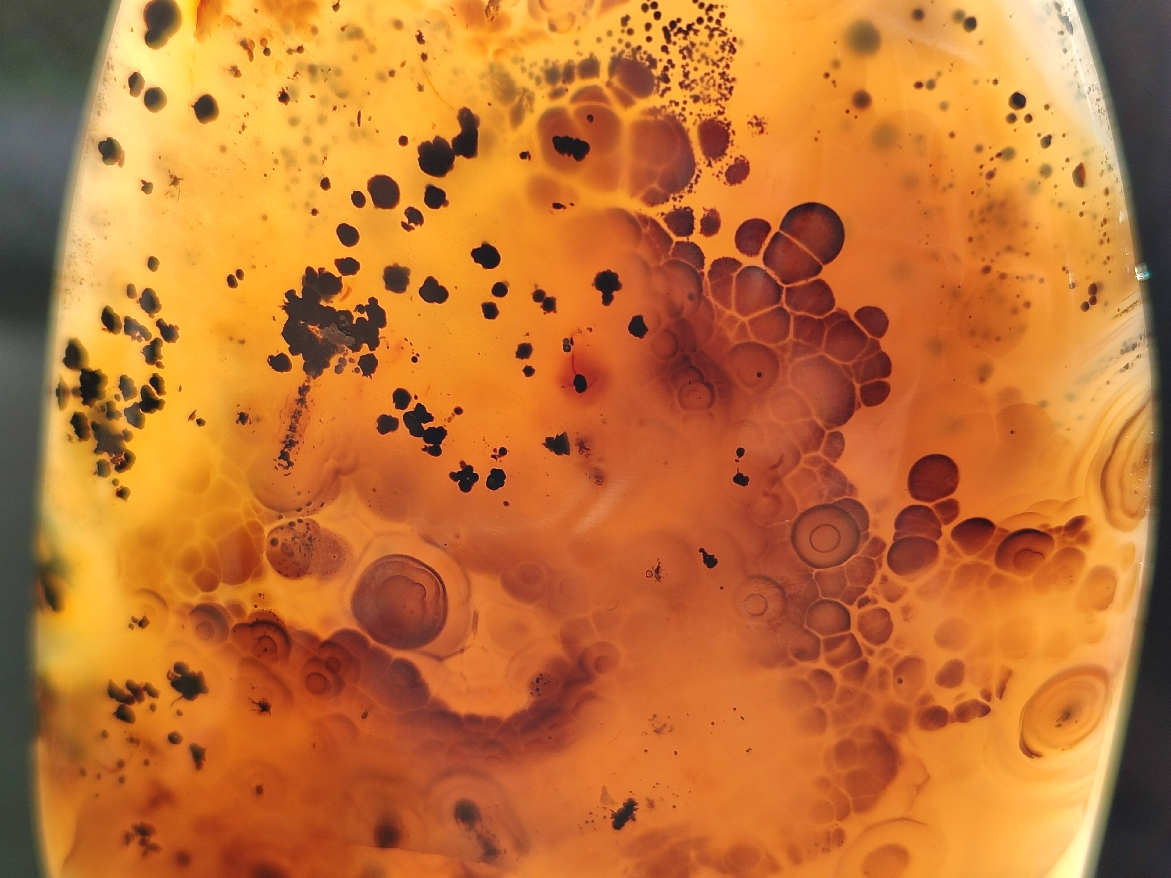 Polished Dendritic Agate Standing Free Forms x 2 From Moralambo, Madagascar