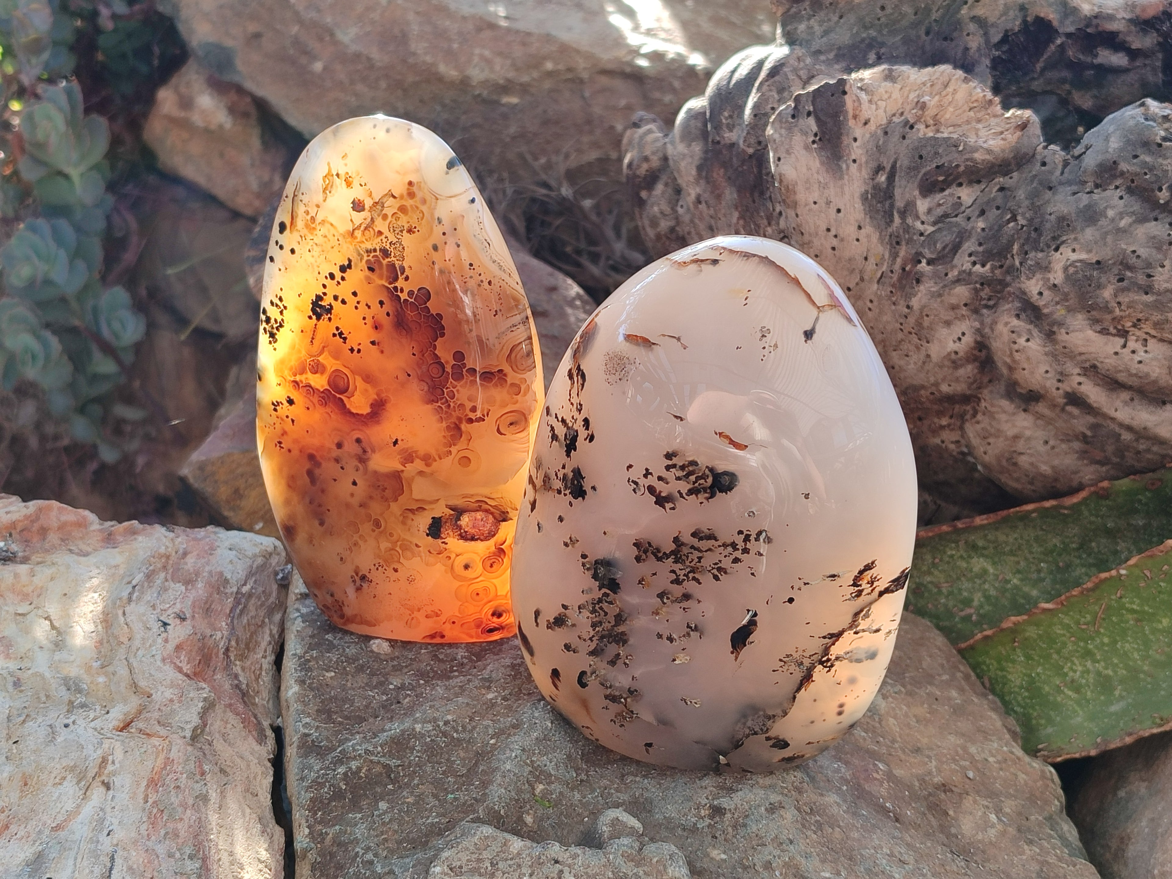 Polished Dendritic Agate Standing Free Forms x 2 From Moralambo, Madagascar