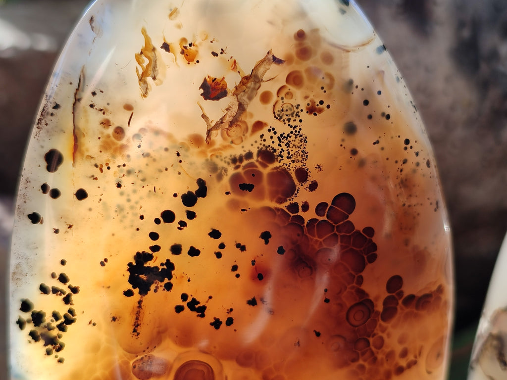 Polished Dendritic Agate Standing Free Forms x 2 From Moralambo, Madagascar