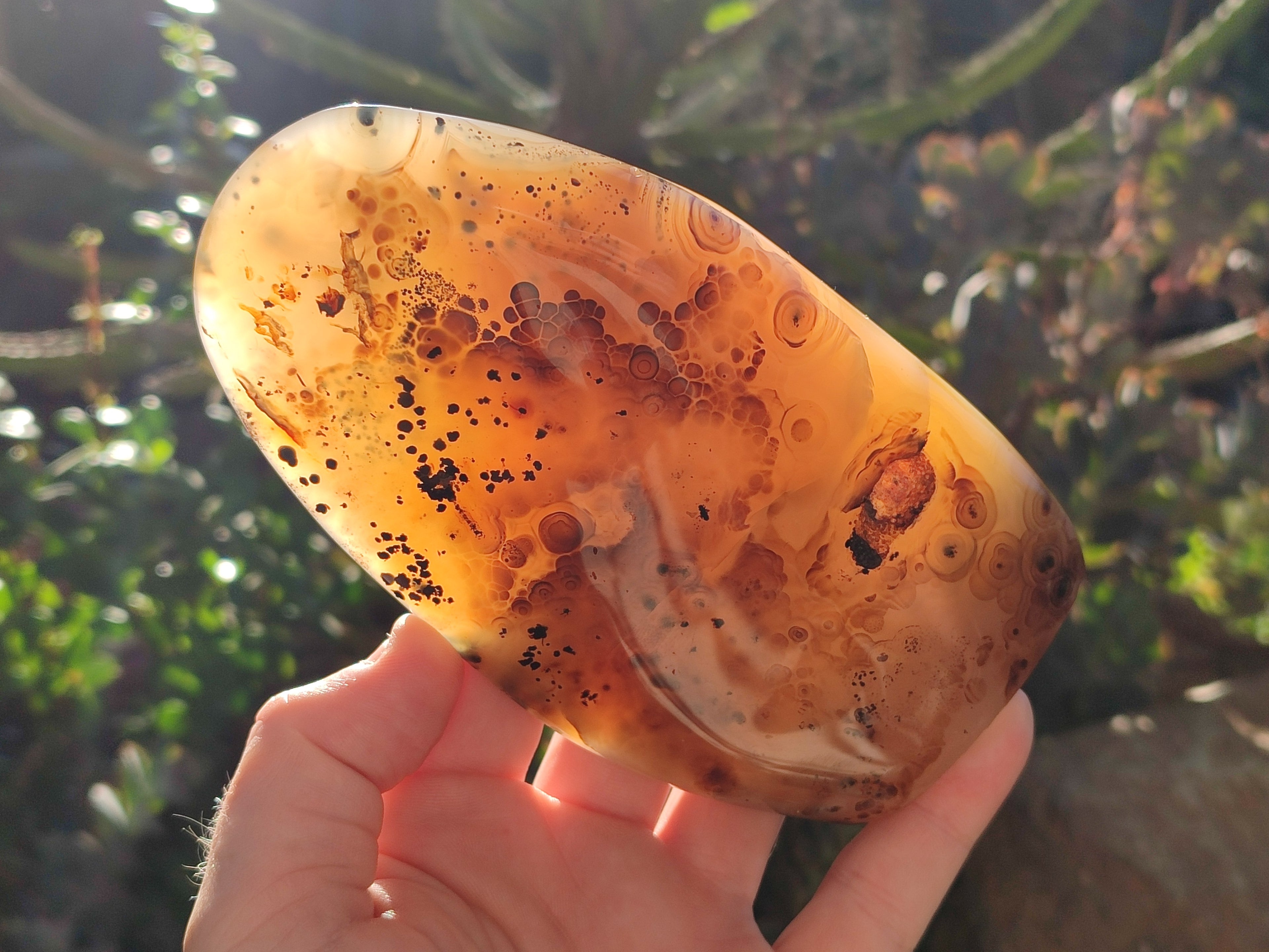 Polished Dendritic Agate Standing Free Forms x 2 From Moralambo, Madagascar