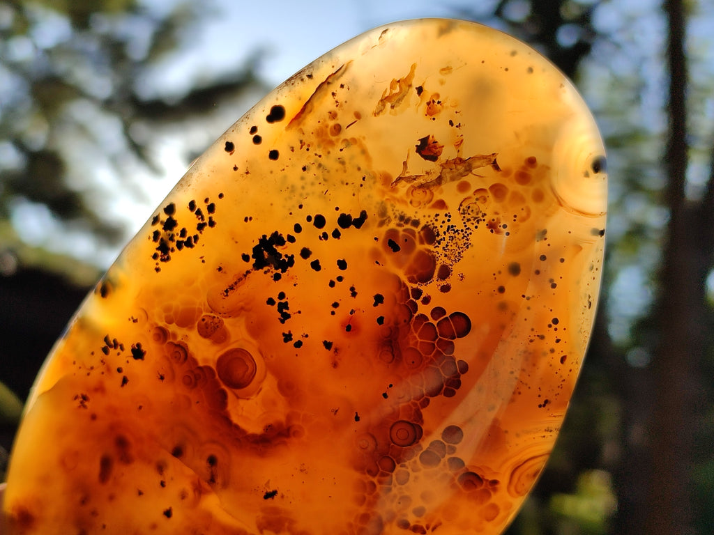 Polished Dendritic Agate Standing Free Forms x 2 From Moralambo, Madagascar