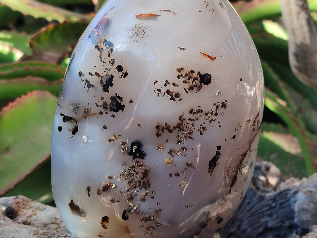 Polished Dendritic Agate Standing Free Forms x 2 From Moralambo, Madagascar