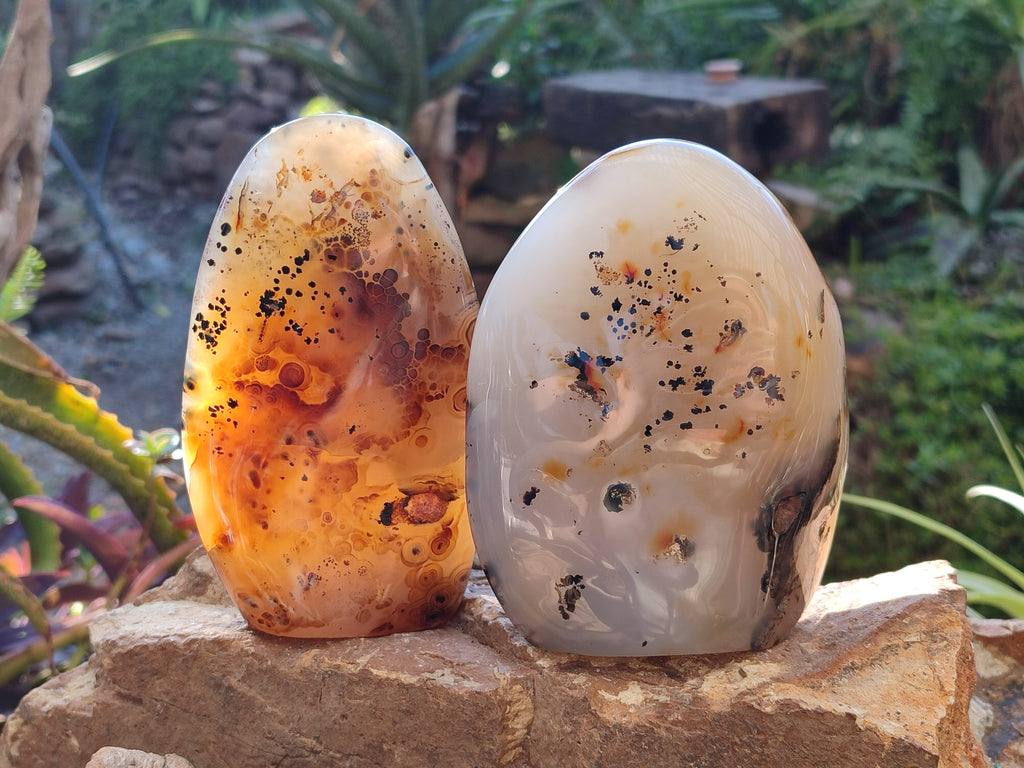 Polished Dendritic Agate Standing Free Forms x 2 From Moralambo, Madagascar