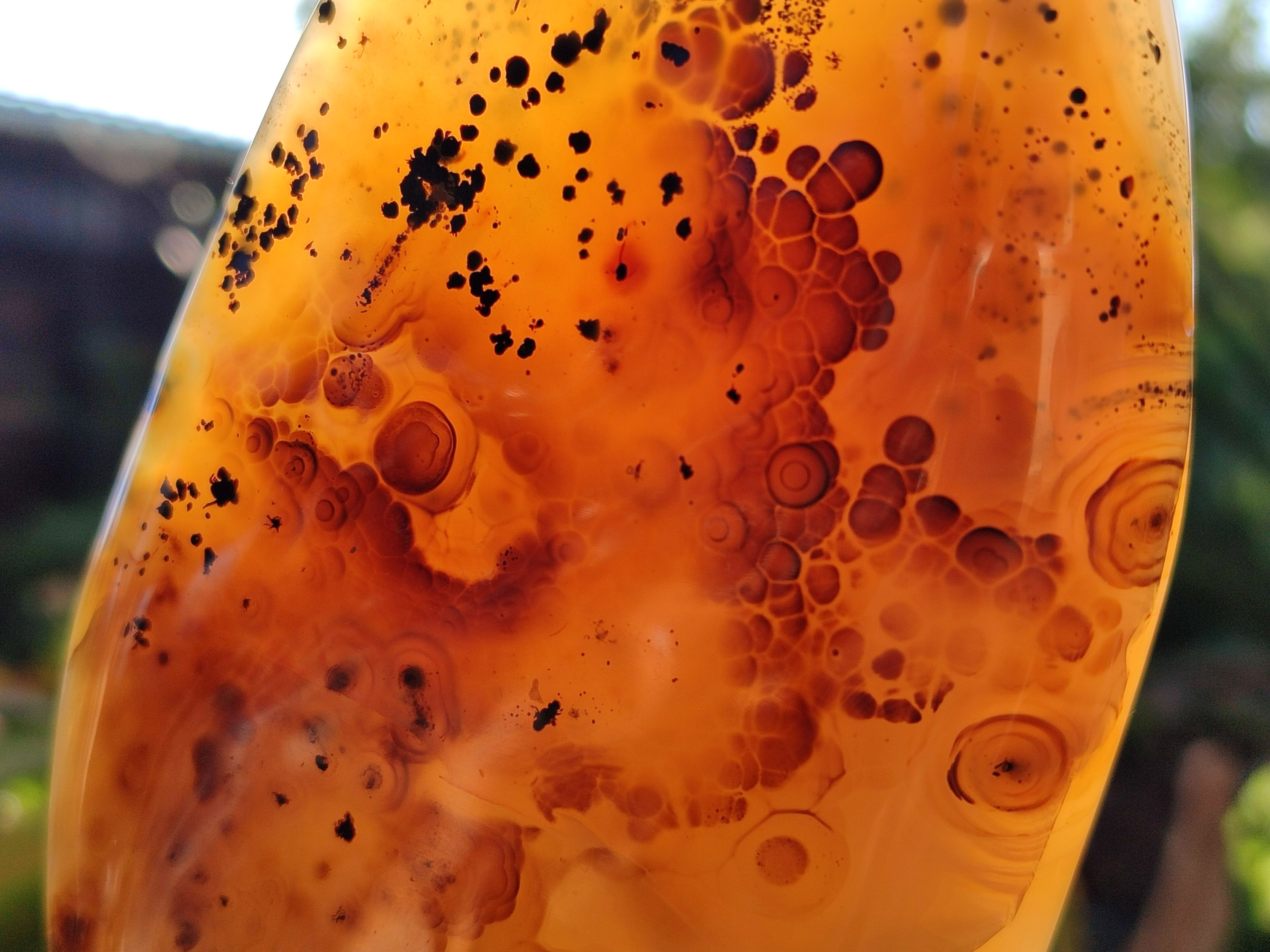 Polished Dendritic Agate Standing Free Forms x 2 From Moralambo, Madagascar
