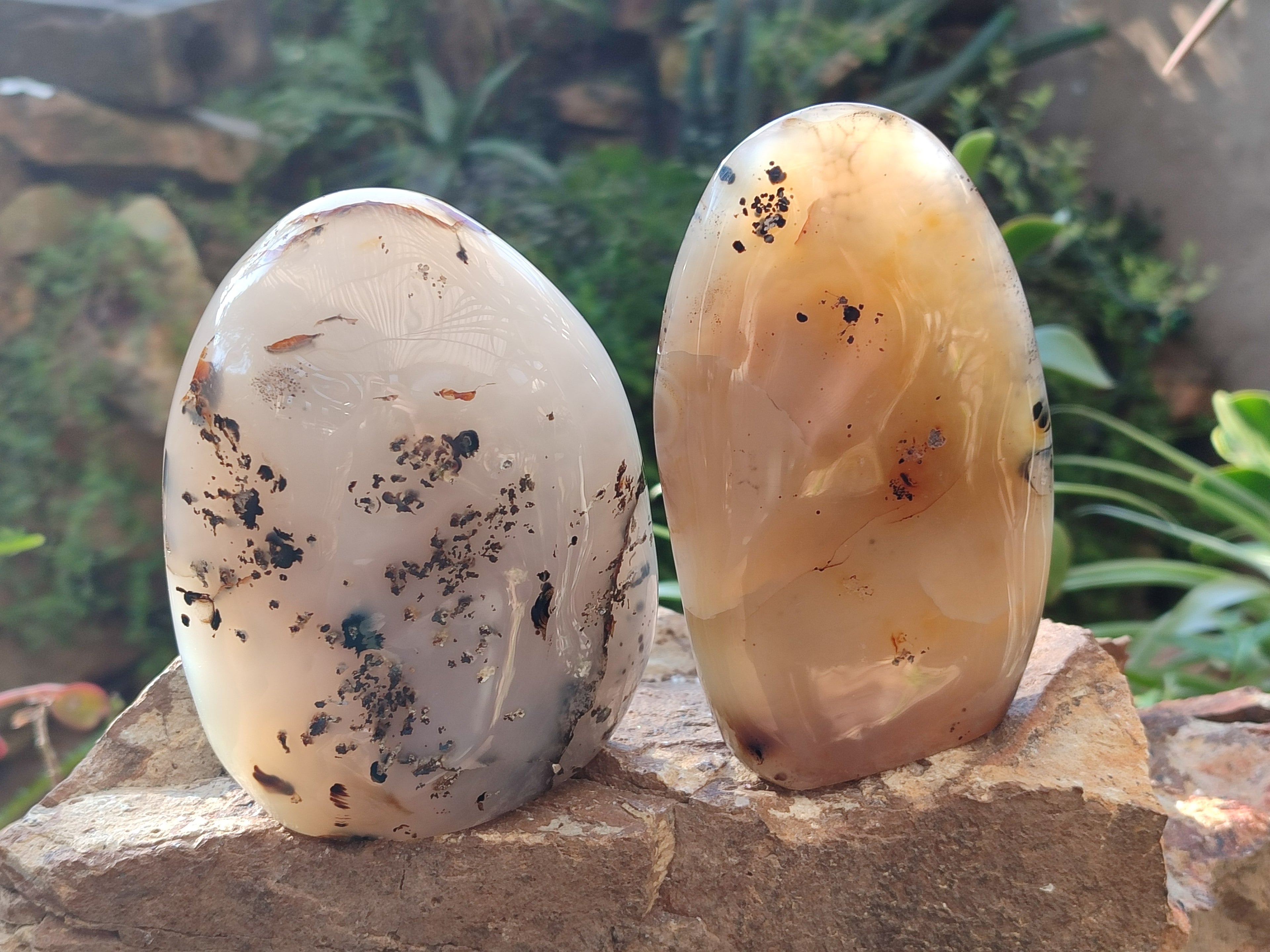 Polished Dendritic Agate Standing Free Forms x 2 From Moralambo, Madagascar