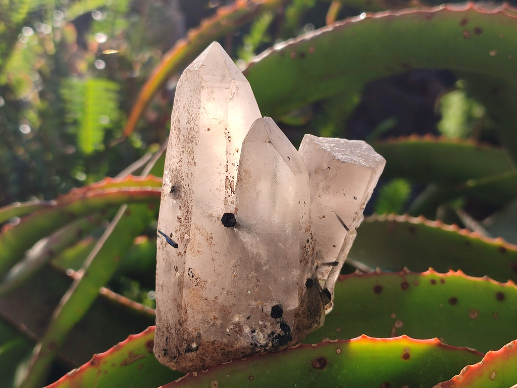 Natural Smokey Quartz Clusters with Associated Minerals x 6 From Erongo, Namibia