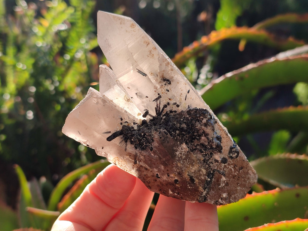Natural Smokey Quartz Clusters with Associated Minerals x 6 From Erongo, Namibia