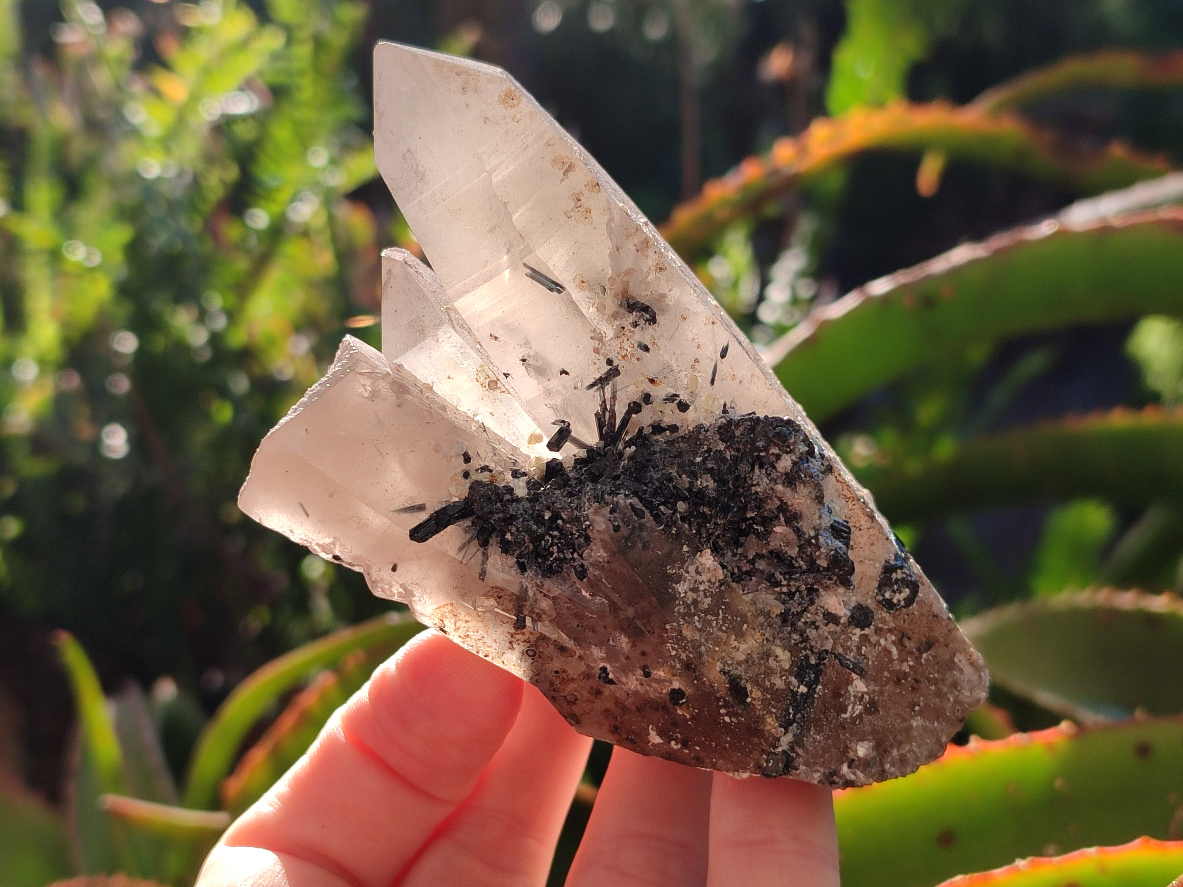 Natural Smokey Quartz Clusters with Associated Minerals x 6 From Erongo, Namibia