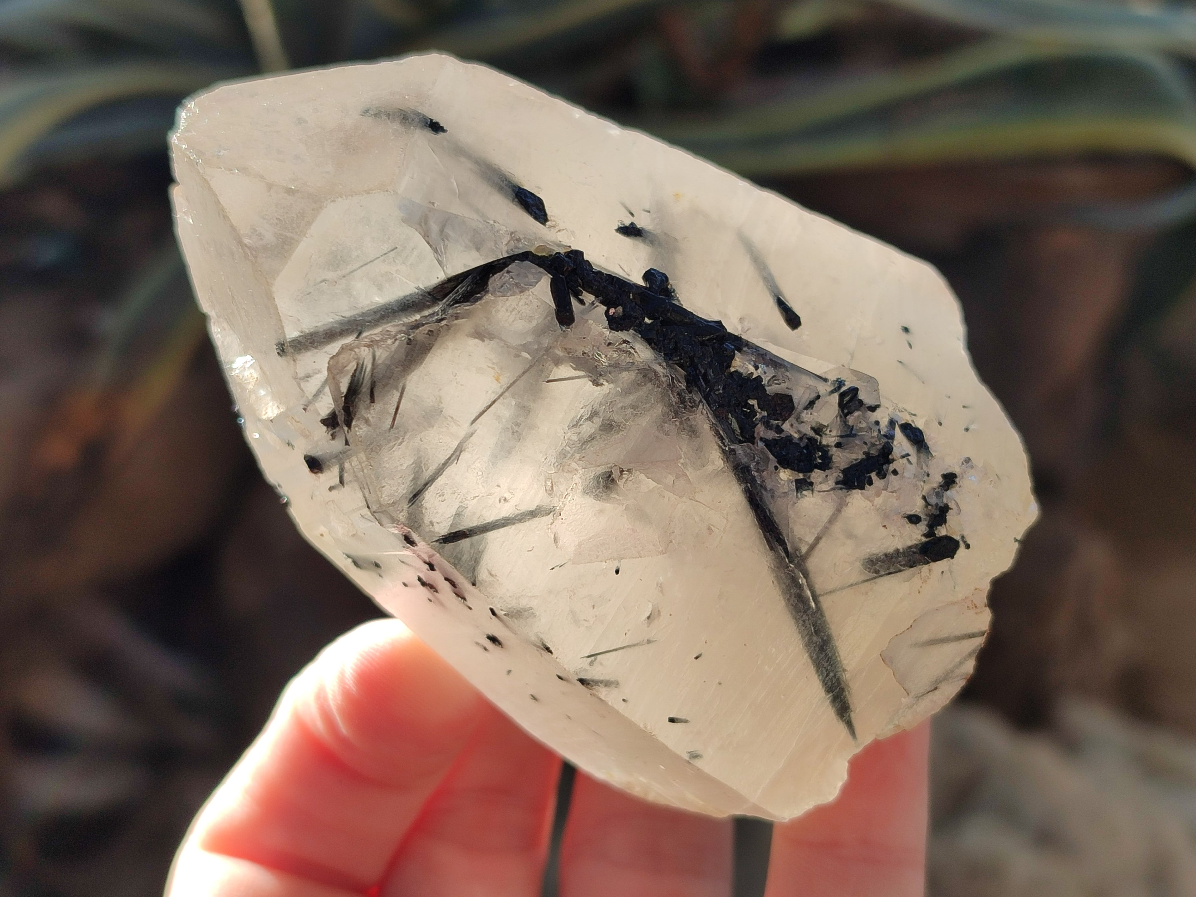 Natural Smokey Quartz Clusters with Associated Minerals x 6 From Erongo, Namibia