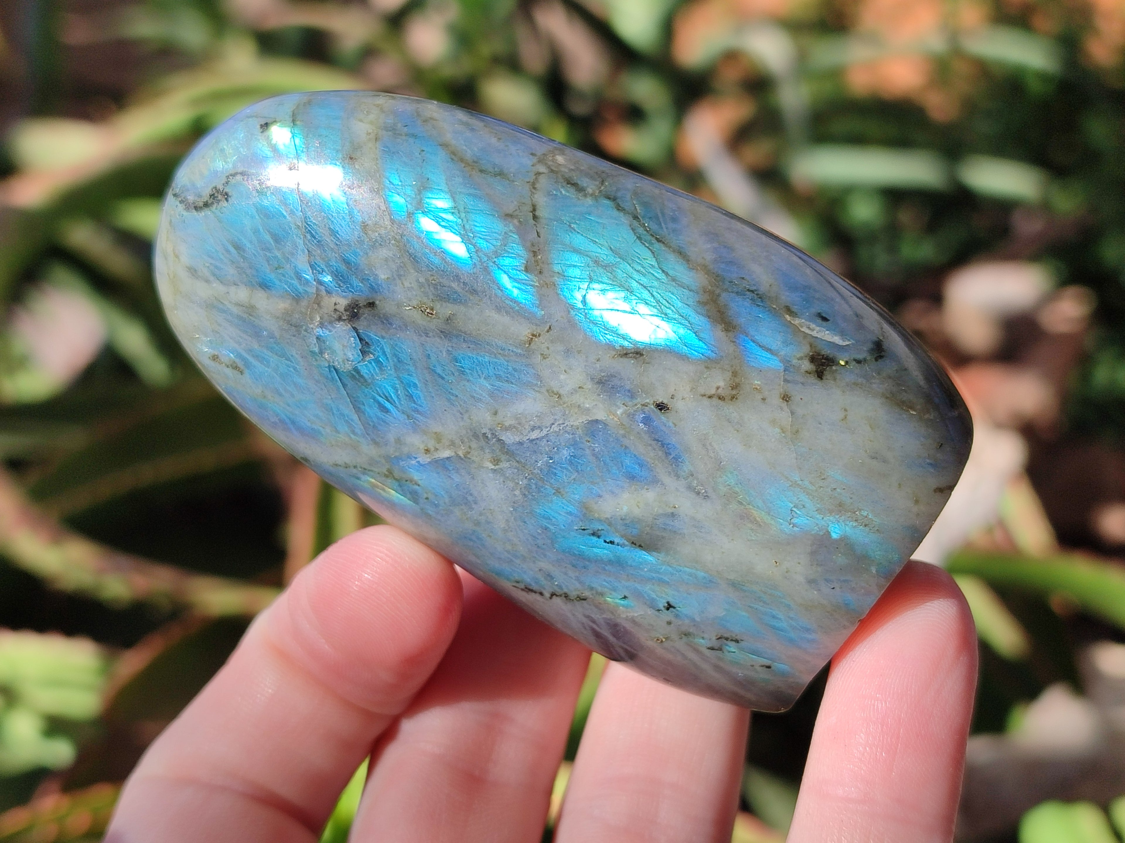 Polished Labradorite Standing Free Forms x 6 From Madagascar