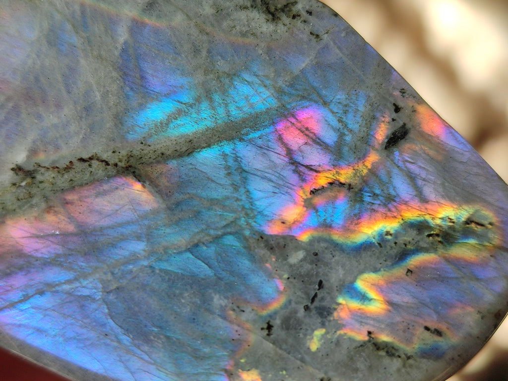 Polished Labradorite Standing Free Forms x 6 From Madagascar