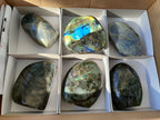 Polished Labradorite Standing Free Forms x 6 From Madagascar