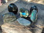 Polished Labradorite Standing Free Forms x 6 From Madagascar
