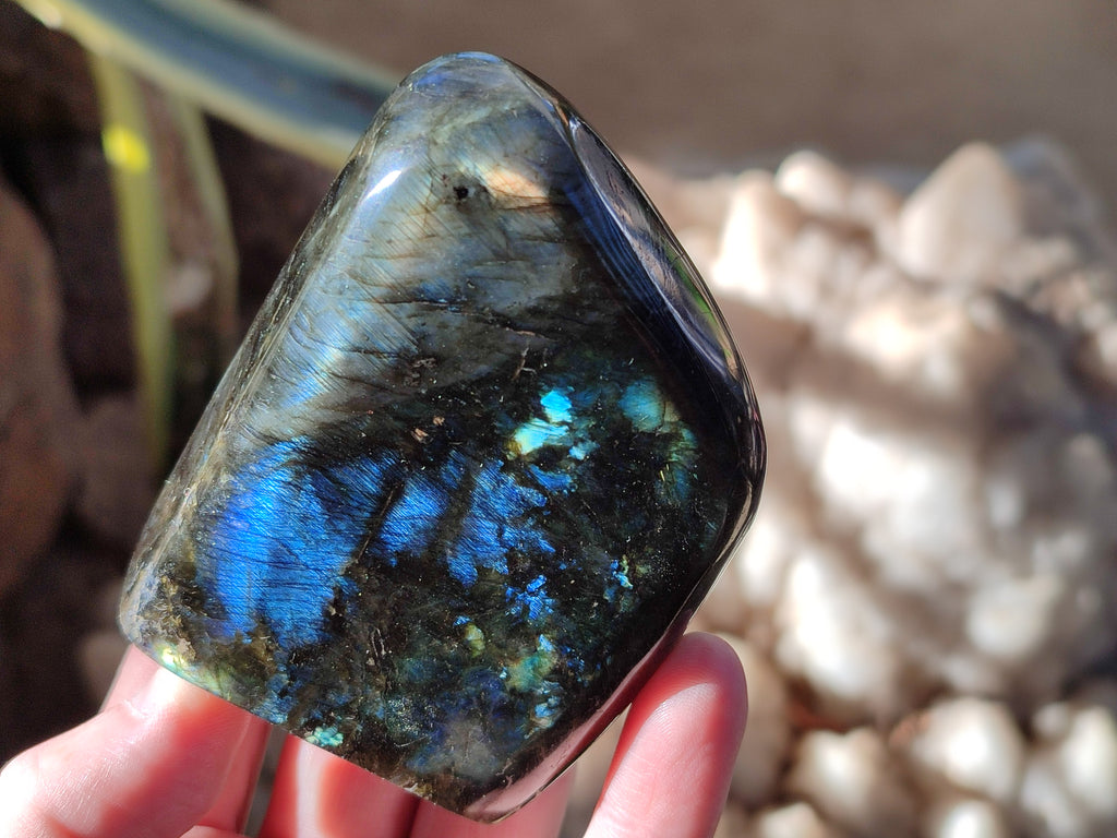 Polished Labradorite Standing Free Forms x 6 From Madagascar