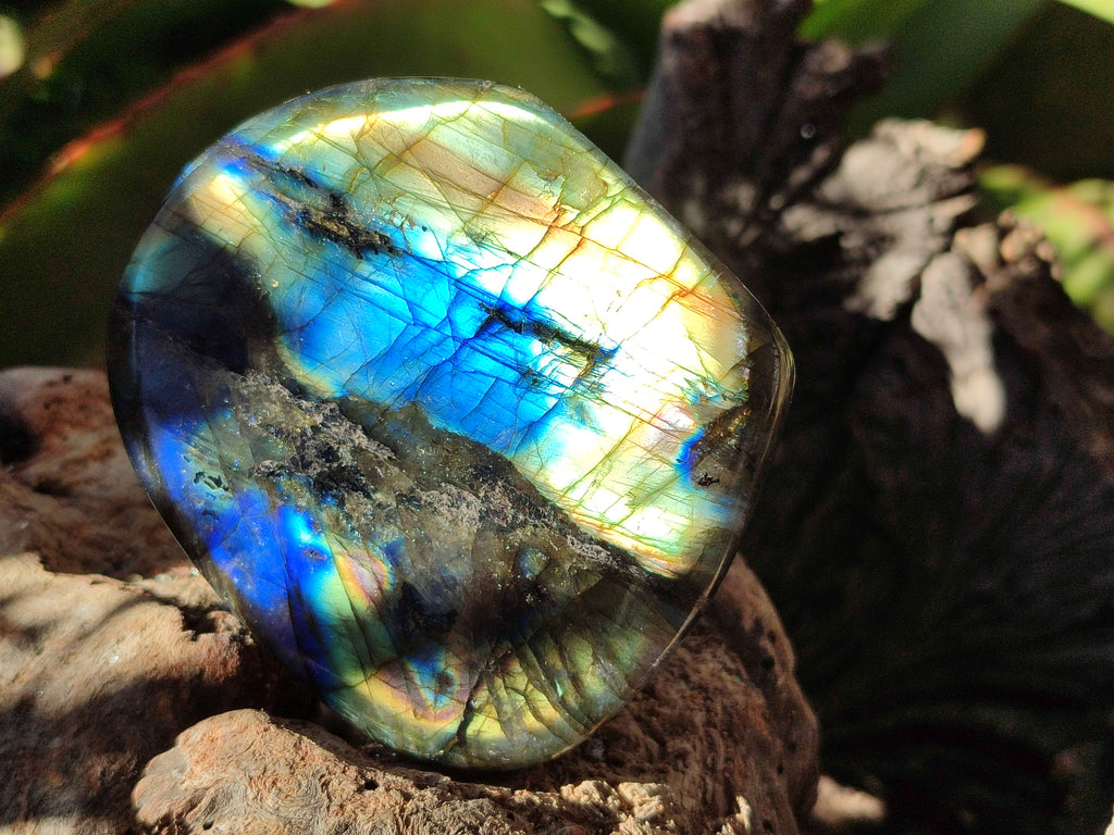 Polished Labradorite Standing Free Forms x 6 From Madagascar